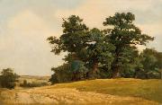 Eugen Ducker Landscape with oaks Spain oil painting artist